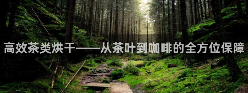 鸿运专业购彩平台网止