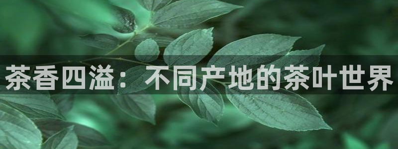 鸿运注册平台是什么