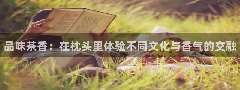 鸿运卡盟平台登录