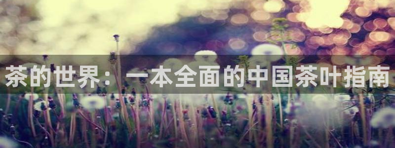 鸿运彩票专业购采平台