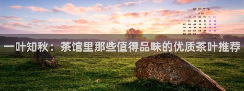 鸿运彩票平台登录不了