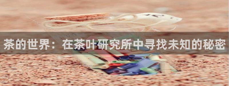 鸿运国际平台平