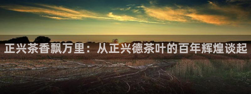 下载鸿运直播平台