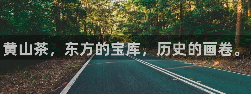 东方鸿运购物平台