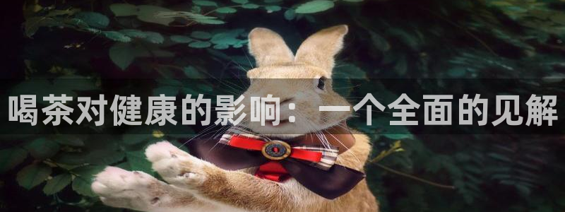 鸿运平台代理台