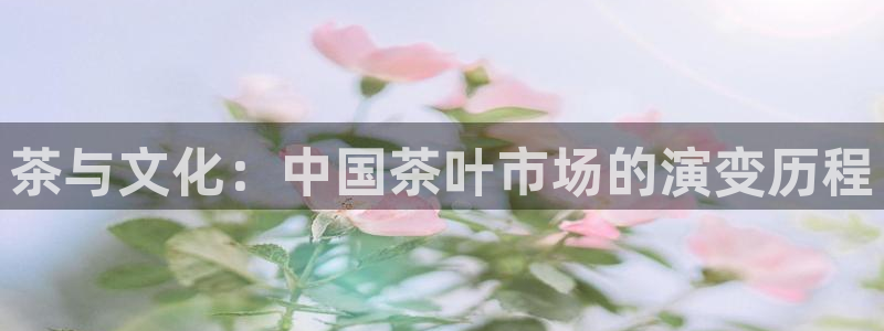 鸿运赌场视讯平台