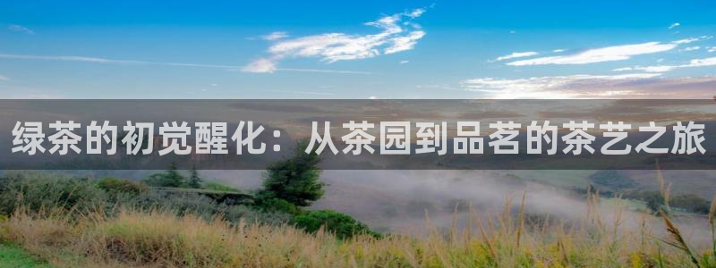 鸿运财富是什么平台