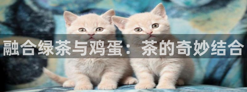 鸿运阿姨直播平台