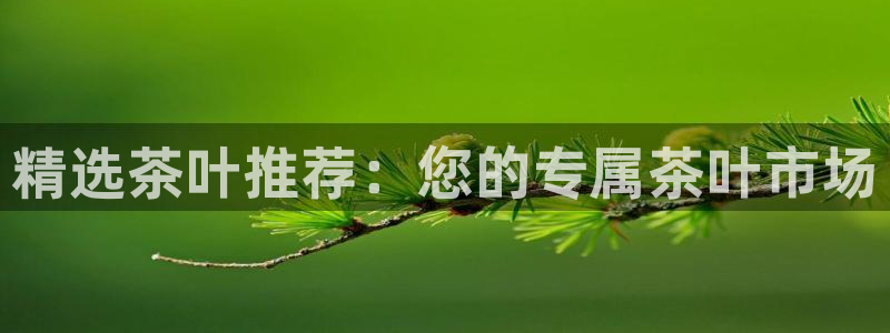 鸿运国际是什么游戏平台