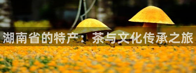 鸿运布艺团购平台