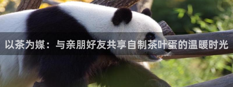 鸿运到游戏直播平台