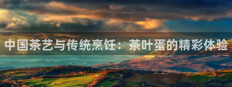 彩票鸿运网登录平台