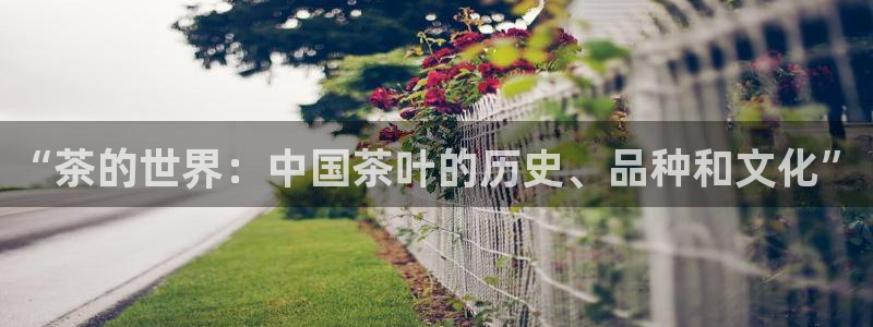 鸿运来是什么平台