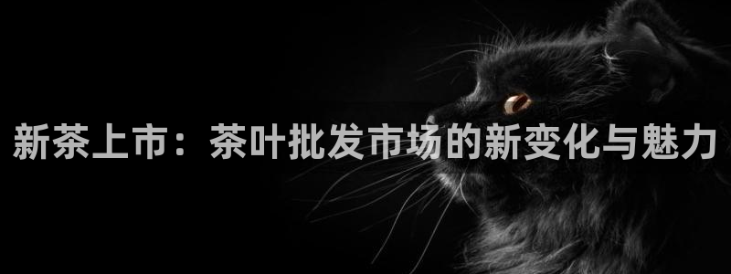 鸿运商会直播平台