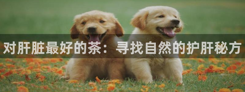 东方鸿运购物平台