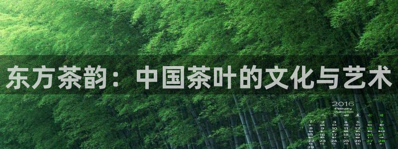 鸿运和拍拍卖平台