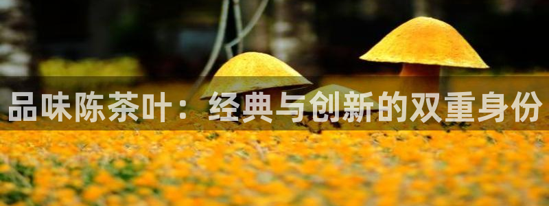 鸿运到平台被骗