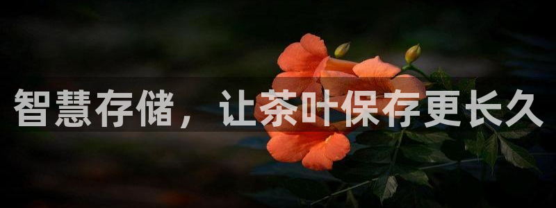 鸿运集团直播平台