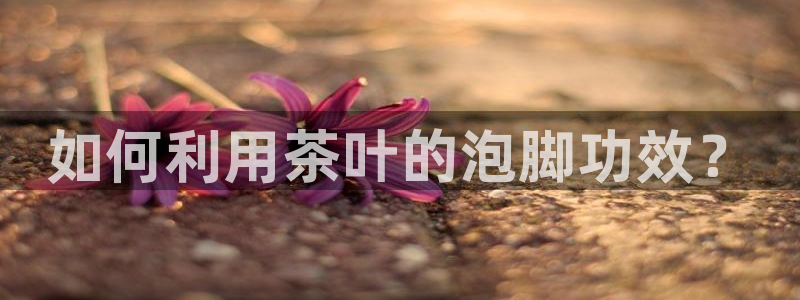 鸿运阿姨直播平台