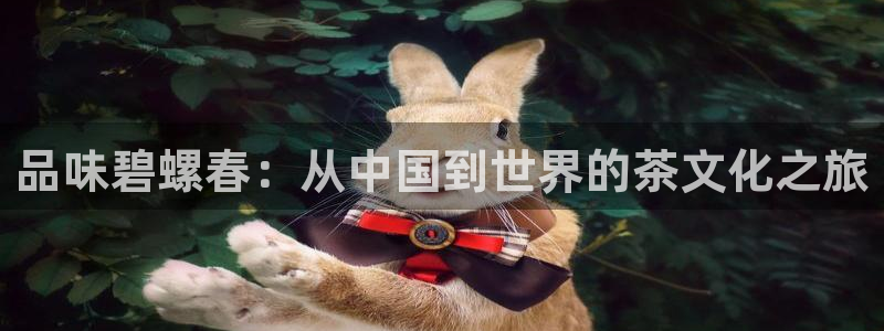 鸿运平台靠谱吗