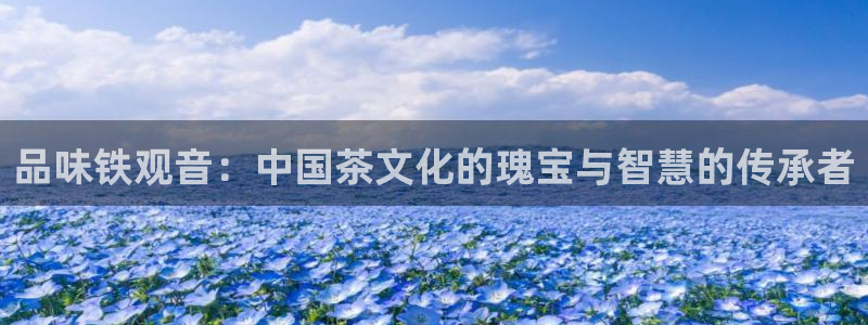 盛世鸿运是什么平台