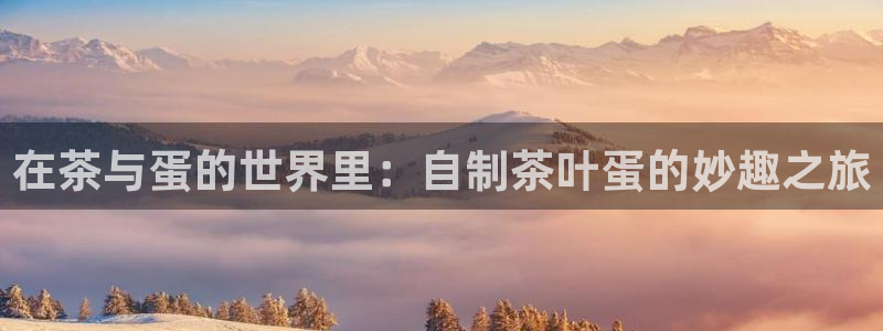 鸿运集团直播平台