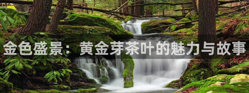 鸿运平台是什么