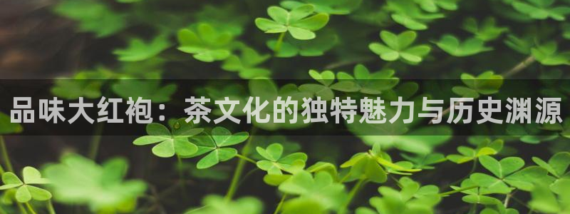 鸿运彩票网络平台下载