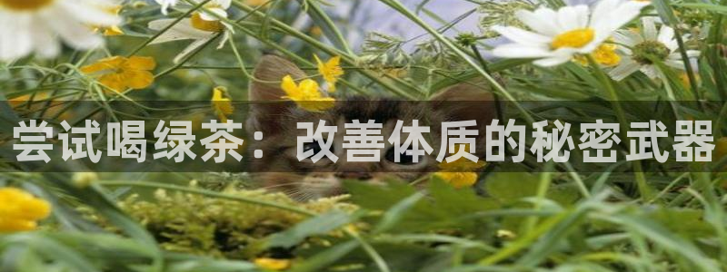 鸿运达交易平台