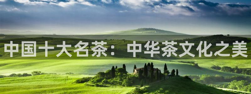 鸿运网彩票平台