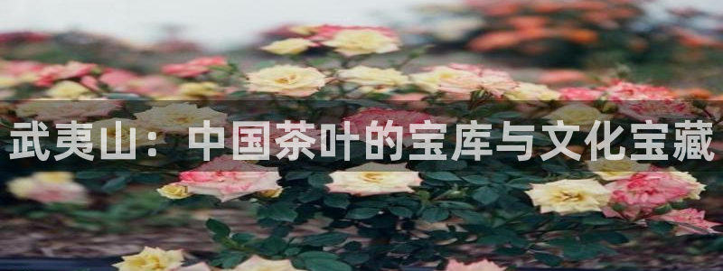 鸿运棋牌黑平台