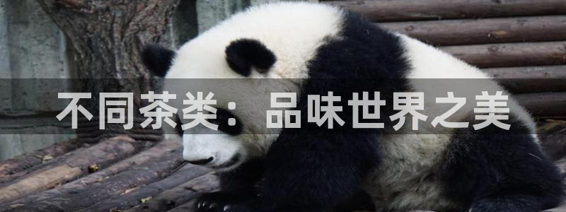 鸿运牛牛投注平台开户