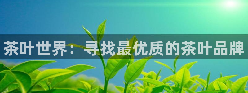 鸿运投资平台客服电话