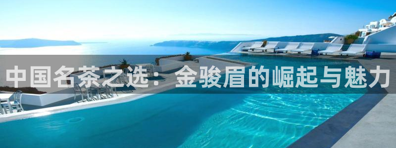 鸿运团队推广平台