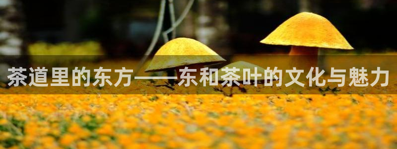 鸿运通借款平台