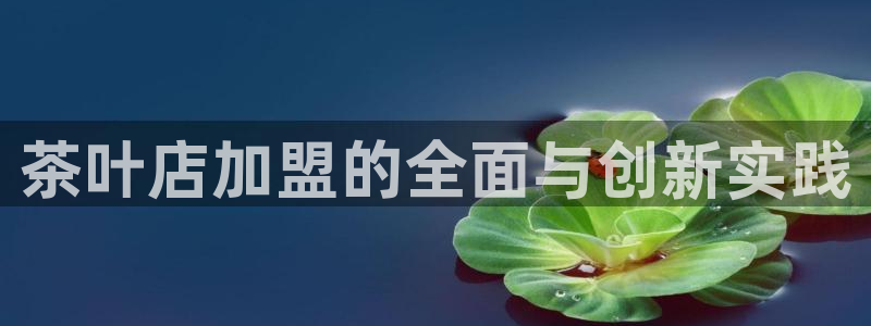 鸿运链锁管理平台