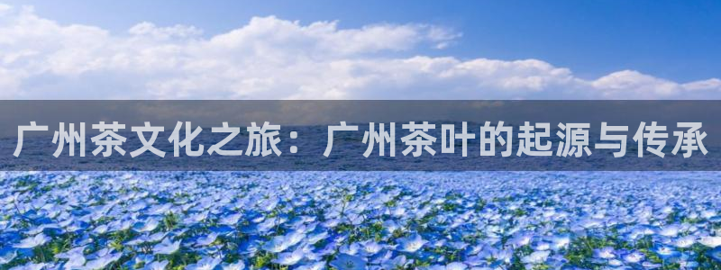 鸿运集团直播卖货平台