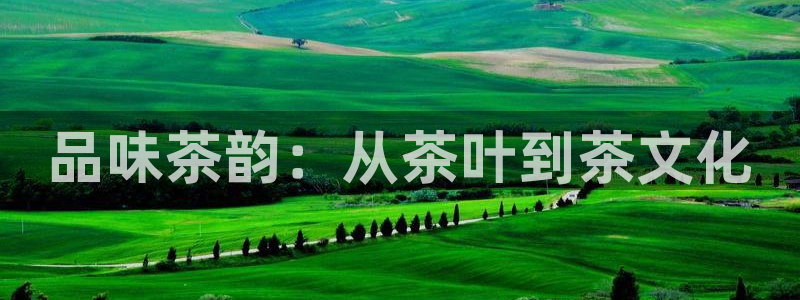 鸿运直播平台下载