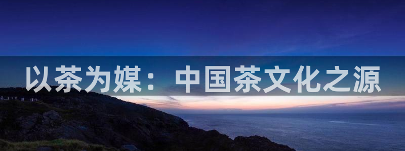 鸿运国际平台代理