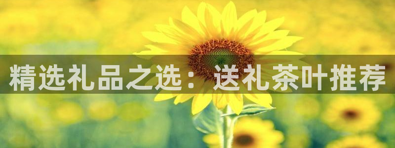 鸿运购彩专业平台