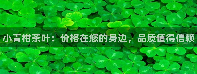 鸿运服务平台是什么平台