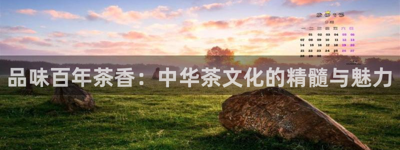 鸿运是什么平台