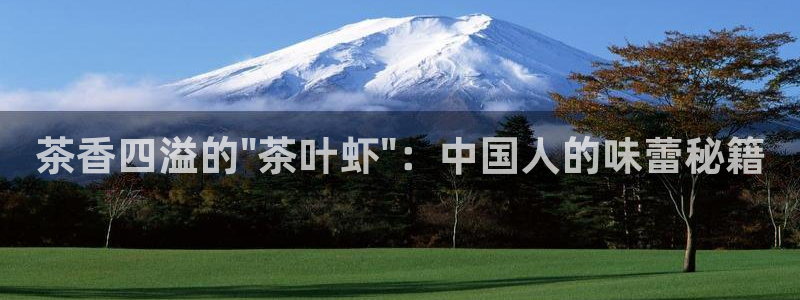 鸿运商城云平台