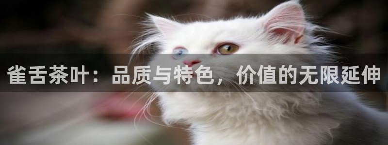 鸿运画室平台介绍