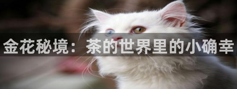 鸿运小说阅读平台