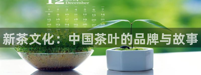 怎么进鸿运彩票平台