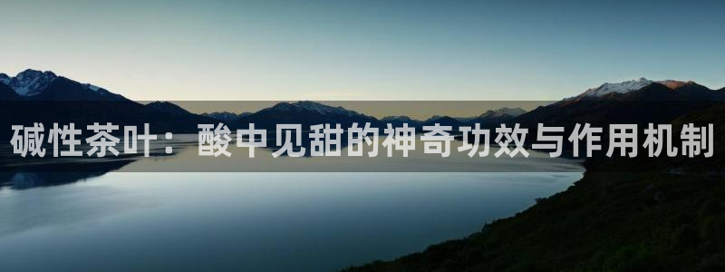 鸿运当头平台画