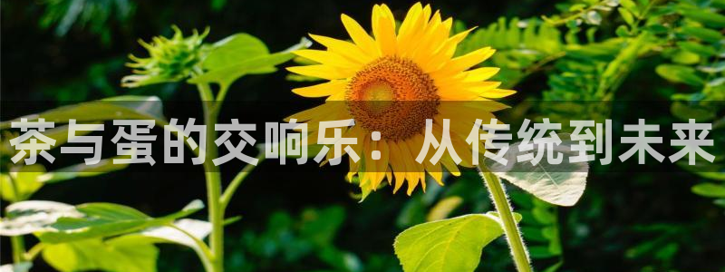 鸿运平台进入登录界面