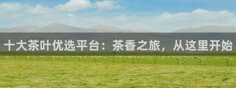 鸿运茶叶平台被骗