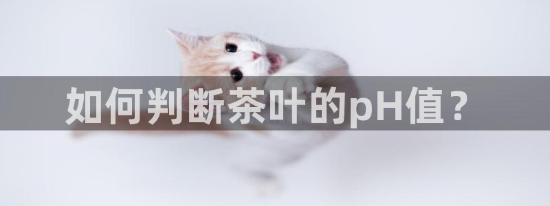 鸿运当头网贷平台